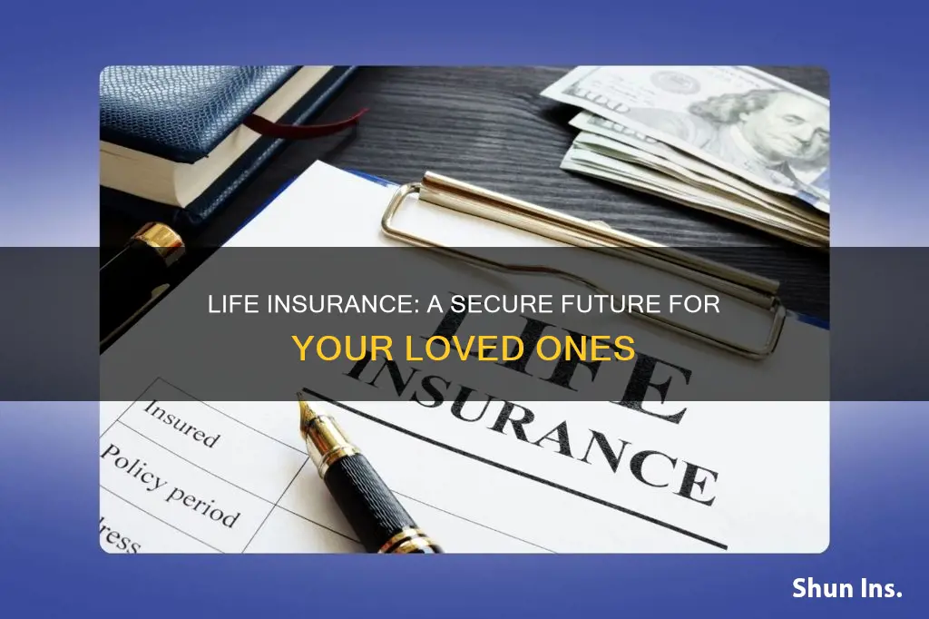 when you get their life insurance