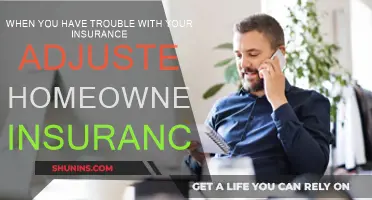 Your Homeowner's Insurance Adjuster: Friend or Foe?