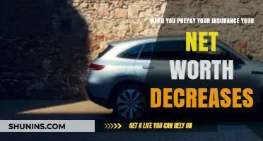 Prepaying Insurance: A Net Worth Sacrifice?