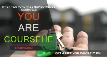 Homeowner's Insurance: What You Need to Know