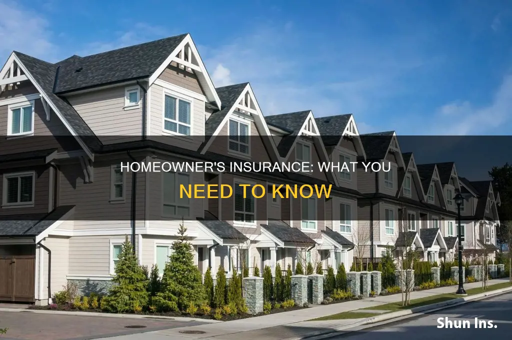 when you purchase homeowner