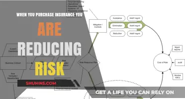 Minimize Risk, Maximize Peace of Mind: The Power of Insurance