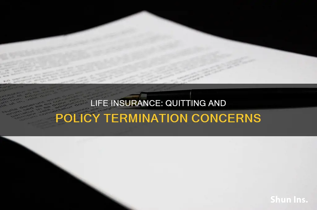 when you quit do you lose life insurance