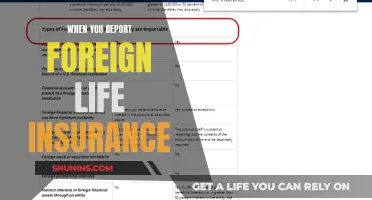 Navigating the Complexities of Reporting Foreign Life Insurance