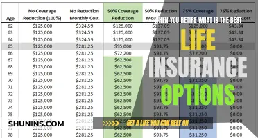 Navigating Retirement: Top Life Insurance Choices for Peace of Mind