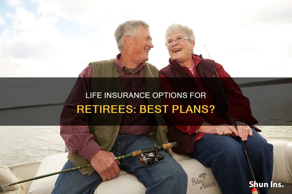 when you retire what is the best life insurance options