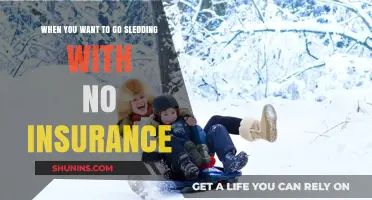 Sledding Without Insurance: What Could Go Wrong?