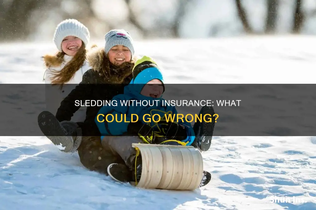when you want to go sledding with no insurance