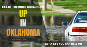 Flood-Totaled Autos: Where Do They Go in Oklahoma?