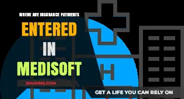Medisoft Software: Logging Insurance Payments Efficiently