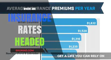 Insurance Rates: What's the Future Outlook?