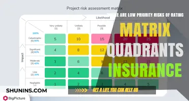 Understanding Insurance Risk Quadrants: Low Priority Threats