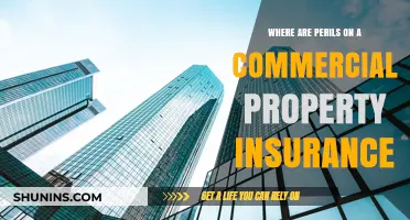 Understanding Commercial Property Insurance Perils: What's Covered?