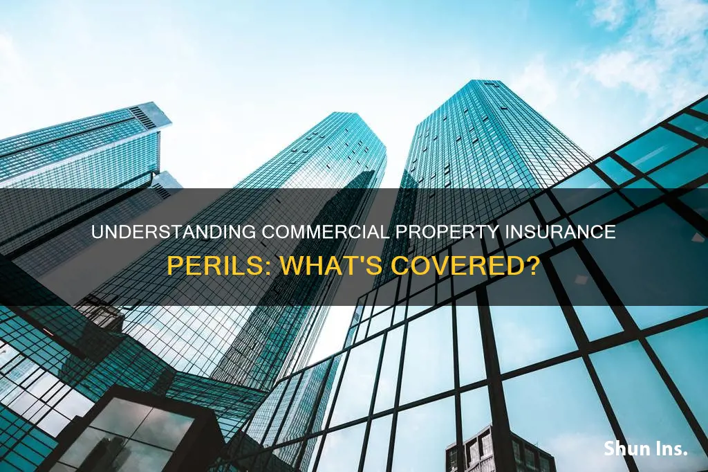 where are perils on a commercial property insurance