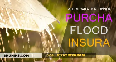 Flood Insurance: Where to Buy as a Homeowner?