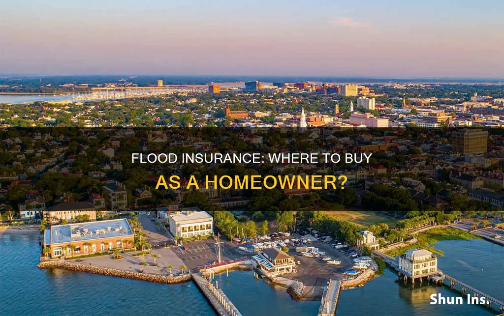 where can a homeowner purchase flood insurance