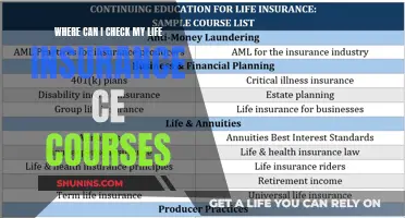 Life Insurance CE Courses: Find Your Answer Here