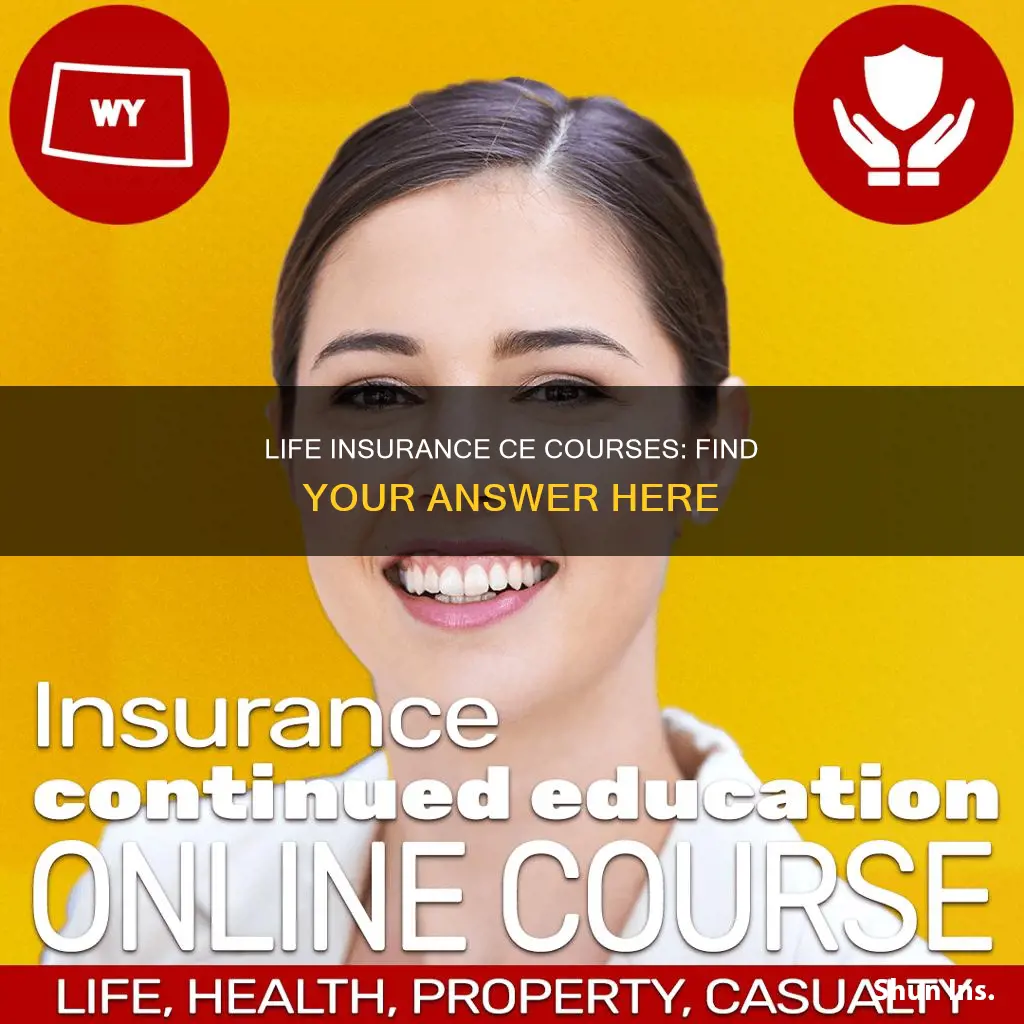 where can I check my life insurance ce courses