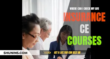 Life Insurance CE Courses: Where to Check and Learn