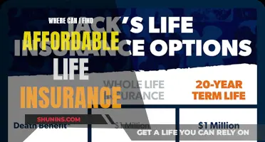 Affordable Life Insurance: Top 5 Cost-Effective Options Revealed