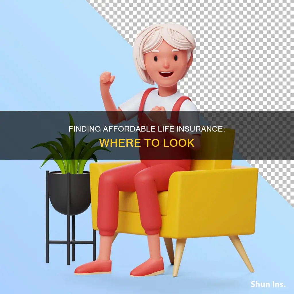 where can I find affordable life insurance