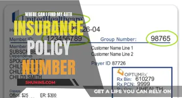 Locate Your Auto Insurance Policy Number: Quick Guide