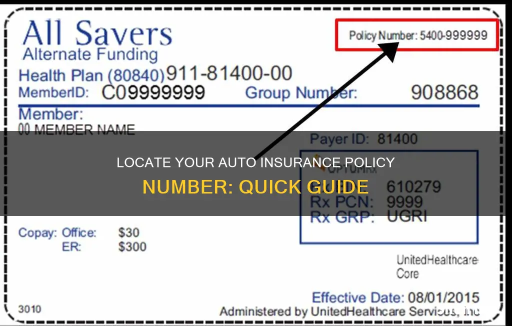 where can I find my auto insurance policy number