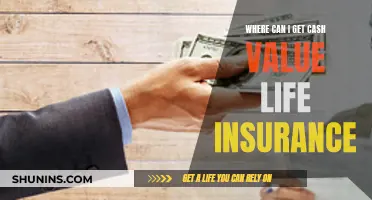 Finding Cash Value Life Insurance: Best Sources to Explore