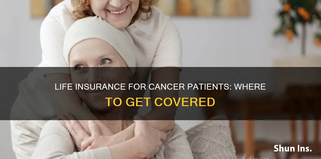 where can I get life insurance for cancer patients
