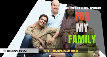 Best Medical Insurance Options for Your Family