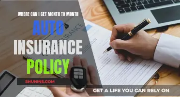 Finding Flexible Auto Insurance: Month-to-Month Policies