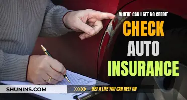 Auto Insurance Without Credit Checks: Where to Find It