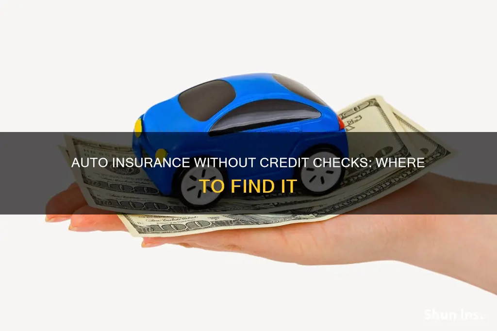 where can I get no credit check auto insurance