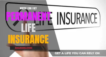 Permanent Life Insurance: Where to Get Covered for Life