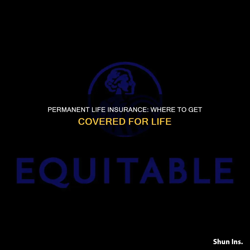 where can I get permanent life insurance