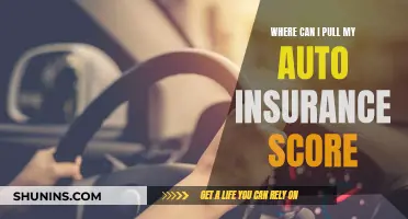 How to Access Your Auto Insurance Score Online