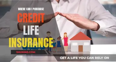 Credit Life Insurance: Where and How to Purchase