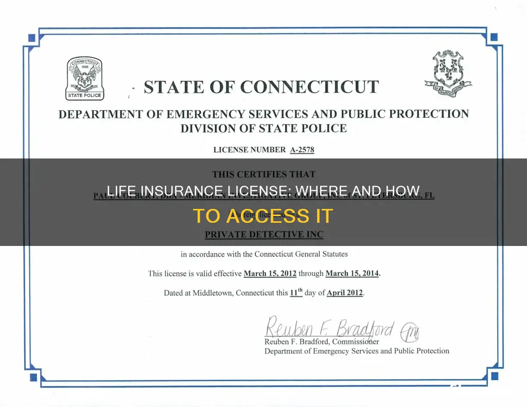 where can I see my life insurance license