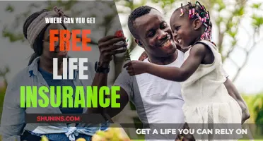 Life Insurance: Free Sources and Where to Find Them