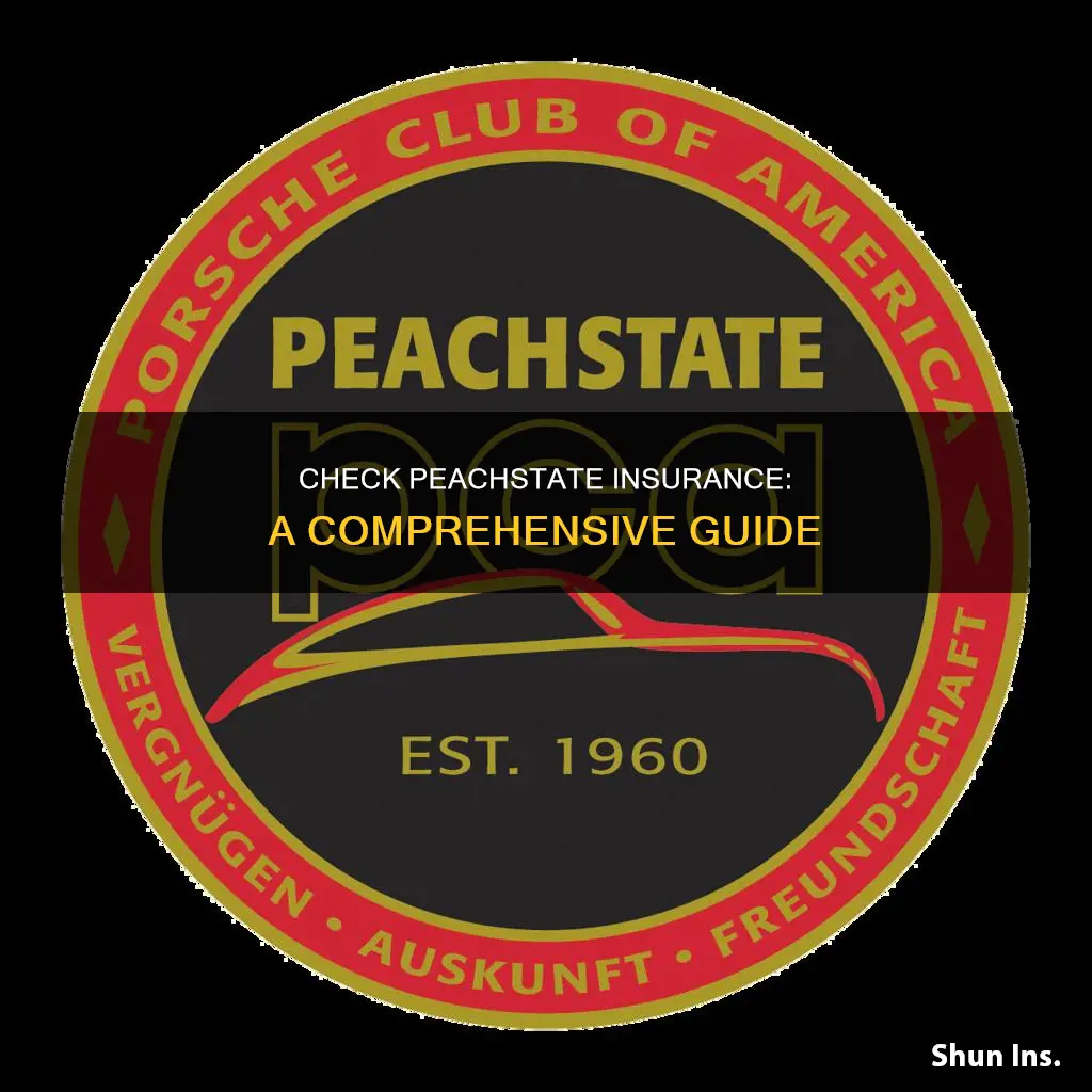 where check peachstate insurance