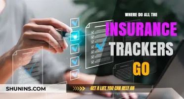 The Mystery of Missing Insurance Trackers: Where Do They Go?