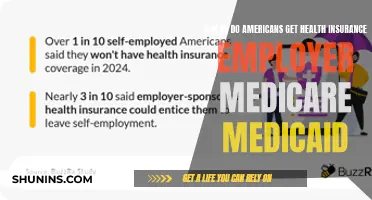 Understanding Health Insurance Options in the US