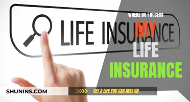 Life Insurance: Accessing Your Policy and Benefits