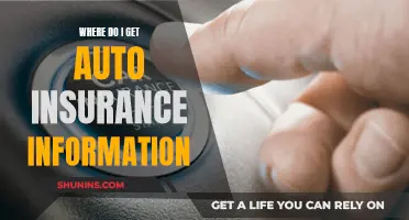 Auto Insurance: Where to Get Information and Stay Covered