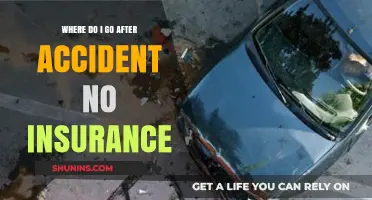 Navigating Options After an Accident Without Insurance