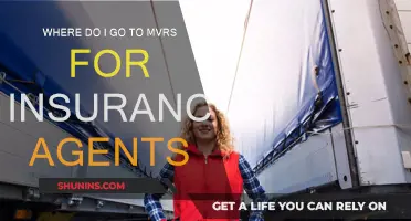 MVRS for Insurance Agents: Where to Go?
