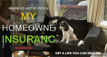 Pets and Home Insurance: What You Need to Know