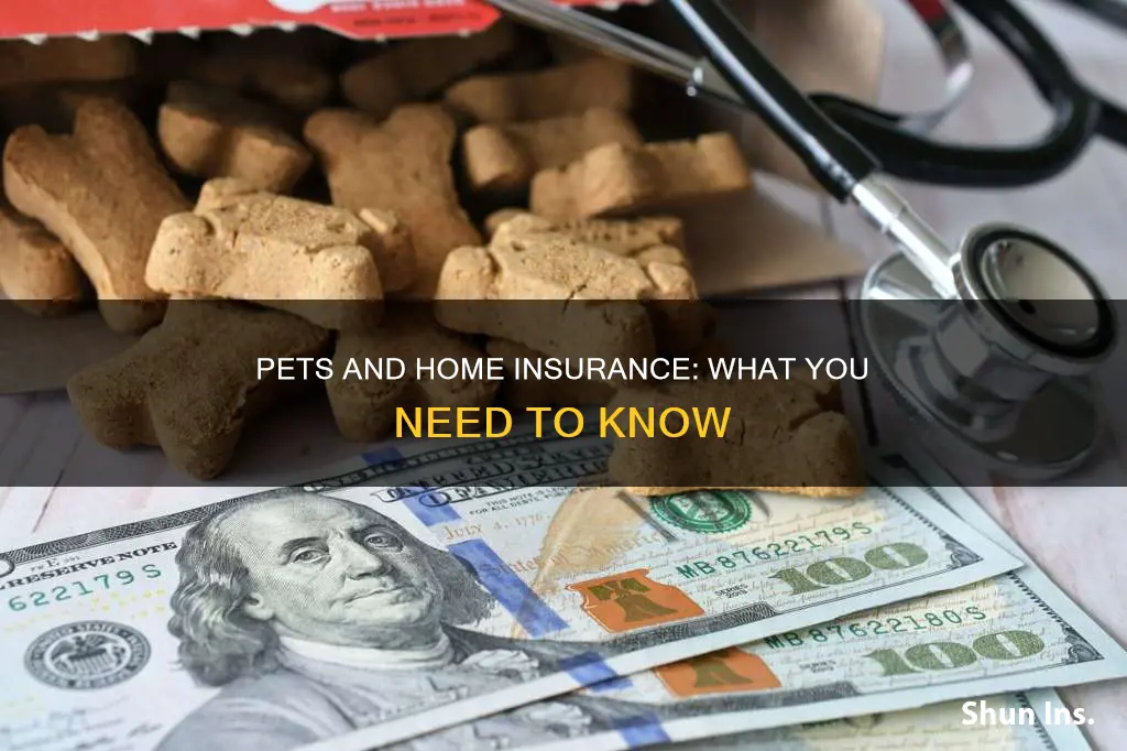 where do I list my pets in my homeowners insurance