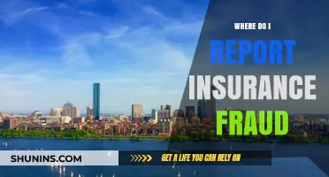 Report Insurance Fraud: Who Do You Contact?
