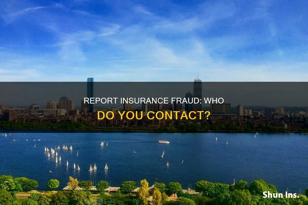 where do I report insurance fraud